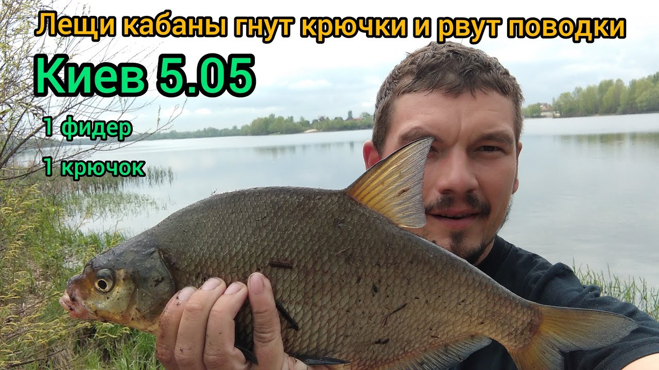 Активный клев крупного леща на Днепре, на границе Киева, ловля леща на фидер