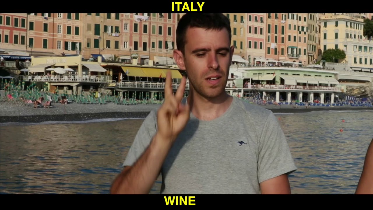 A Full Verizon of Italian Sign Language (LIS) in 48 Word Signs.
