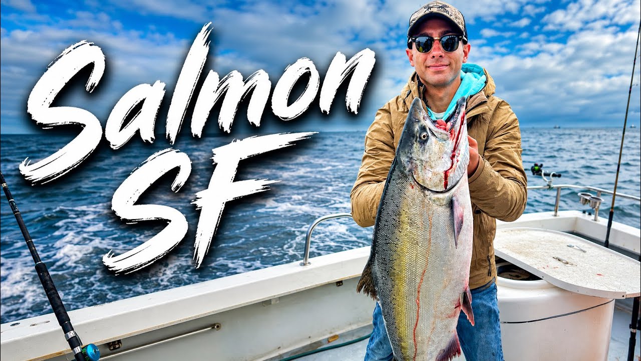 Catching Monster King Salmon in San Francisco