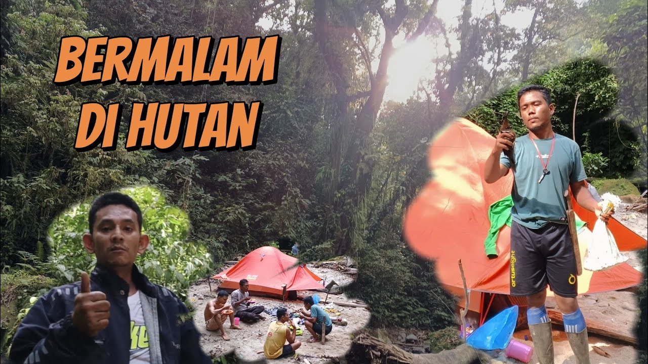 adventure mikat burung di pedalaman hutan sumatera ||  poin burung langka cililin sumatera