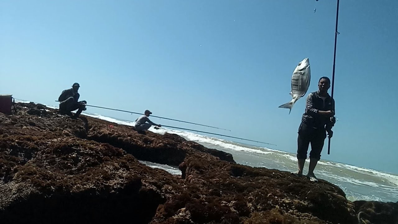أجمل مكان للصيد بالقصبة 🎣 نواحي بوجدور الخير موجود  الشرغو كي نقز 🐟🐟