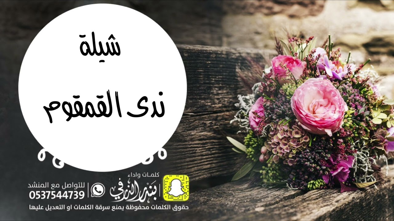 شيلة ندى القمقوم | كلمات واداء بندر الذرفي