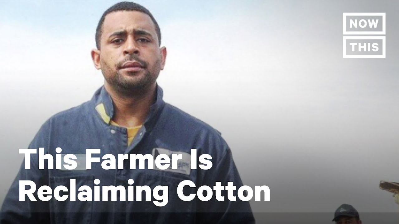 This Farmer Is Reclaiming Cotton | NowThis