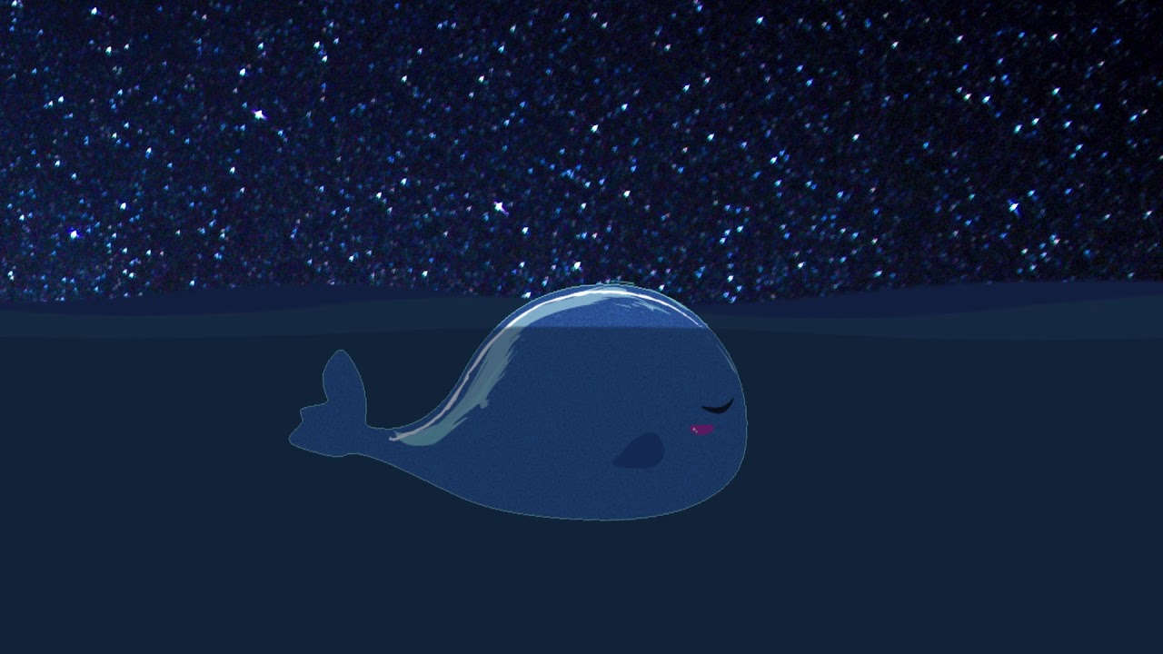 the 52hz whale
