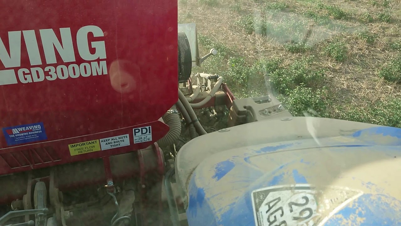 Tundra beans weaving gd