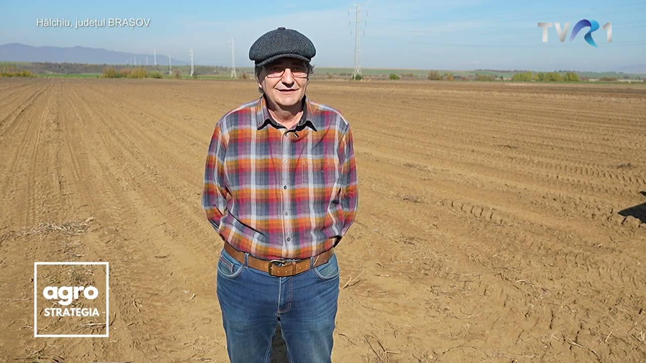 Sorin Mănoiu - 30 de ani de antreprenoriat în sectorul cartofului