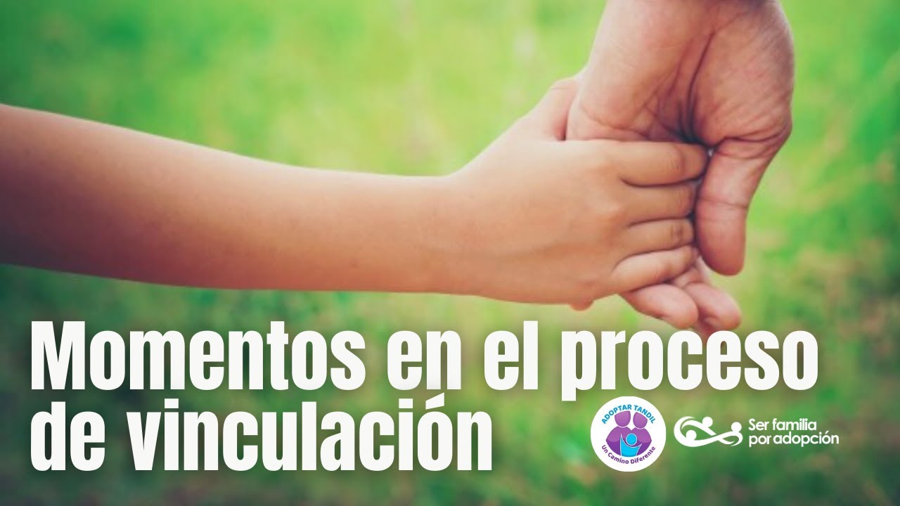 Momentos del proceso de vinculación
