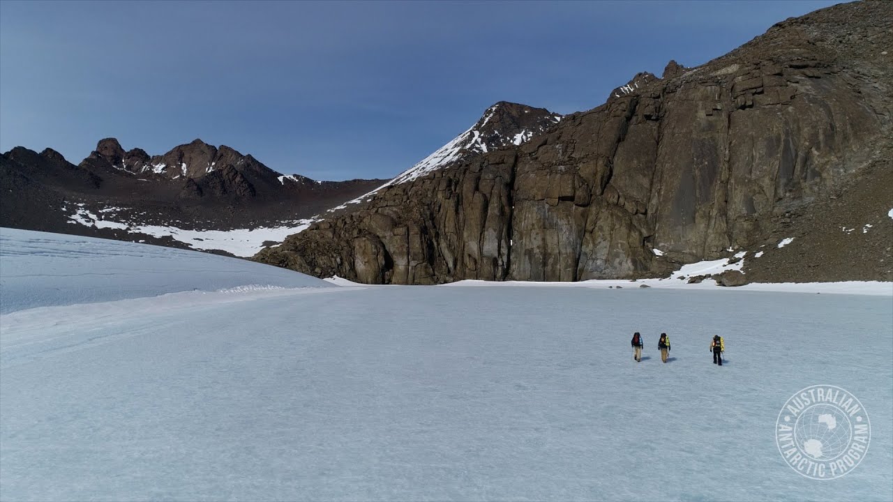 Armchair Antarctica 3 | Icy Inspiration