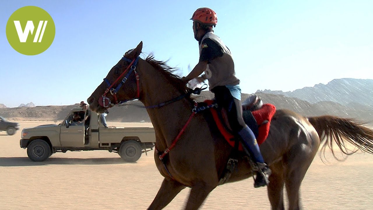 Horse racing in Jordan's most famous desert - Who will become the next King of the Winds?