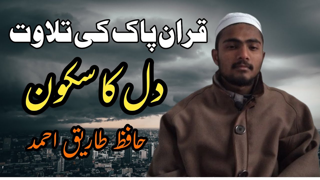 Heart Touching Tilawat ❤️❤️❤️ By Hafiz Tariq Ahmad قران پاک کی بہت ہی خوبصورت تلاوت  ❤️