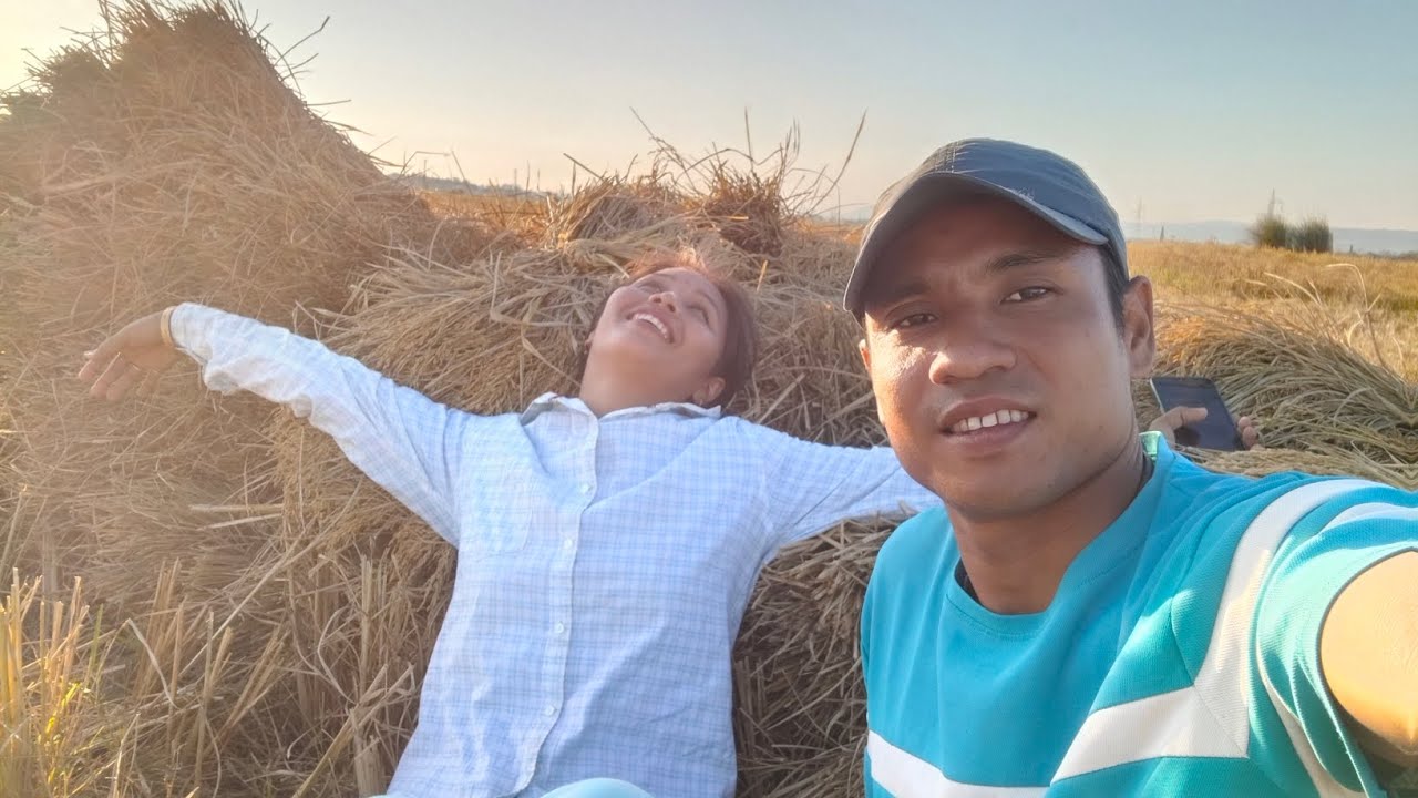 Sok rot tang et pen kachepangrum dam guyz🌾🌾🌾 #paddy #harvesting 
