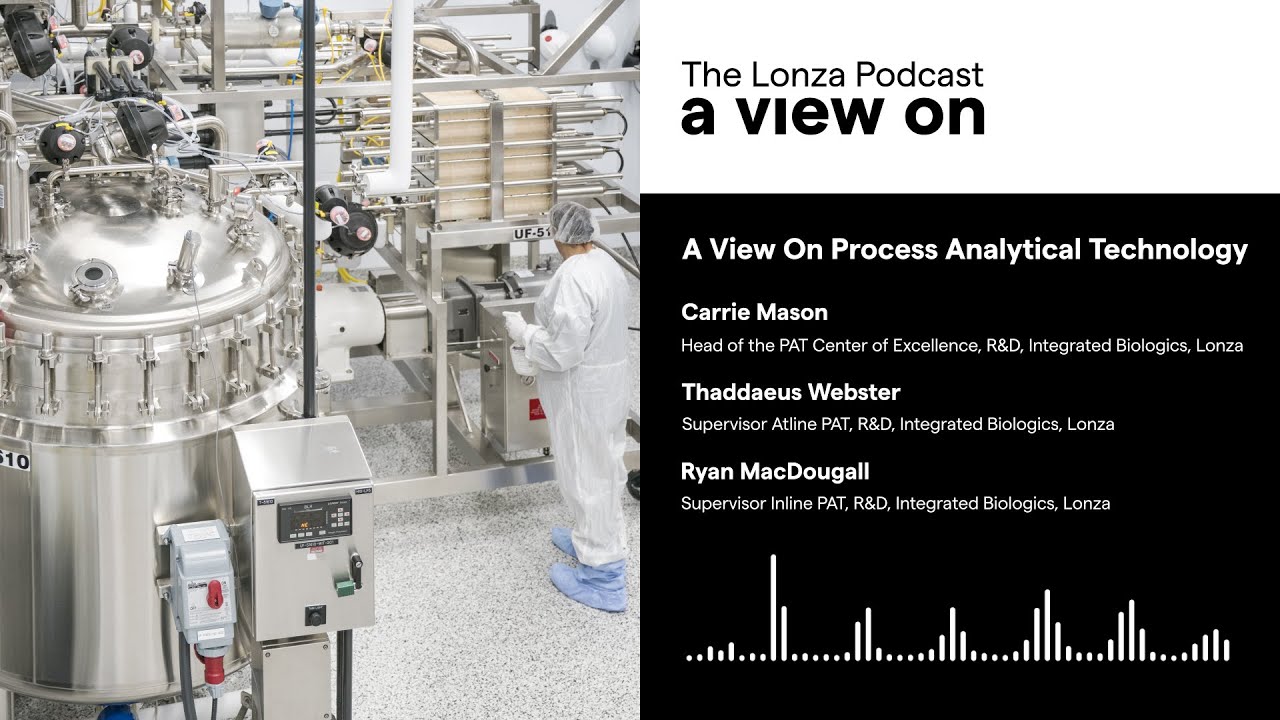 A View On Process Analytical Technology