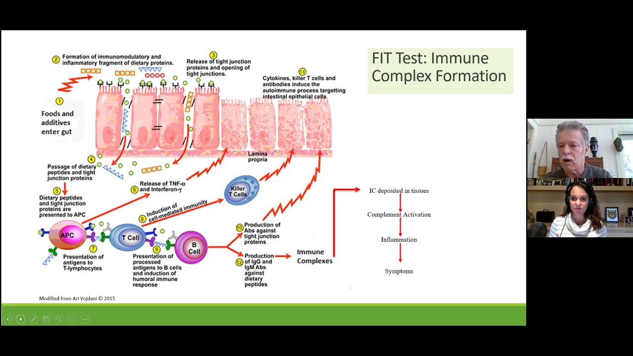 What is Food Inflammation Testing