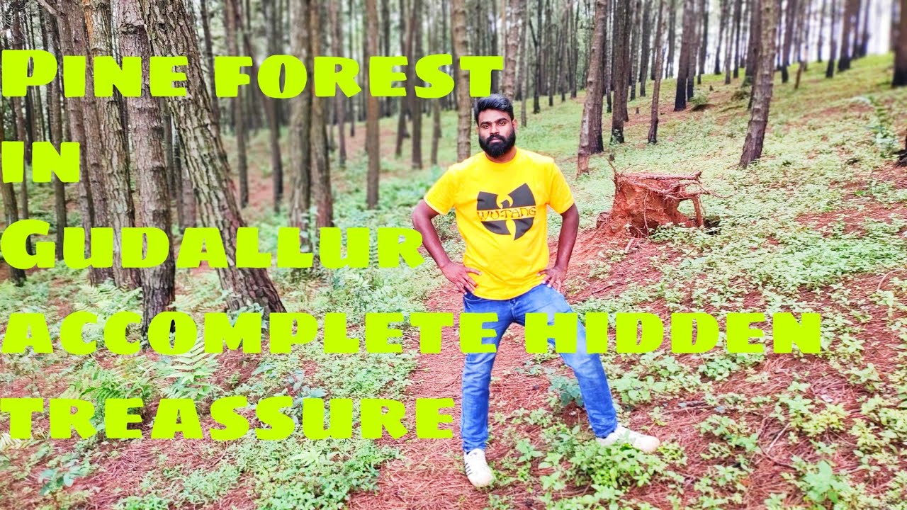 🌲Onam spl Pine forest in Gudallur Nilgiris accomplete hidden treasures