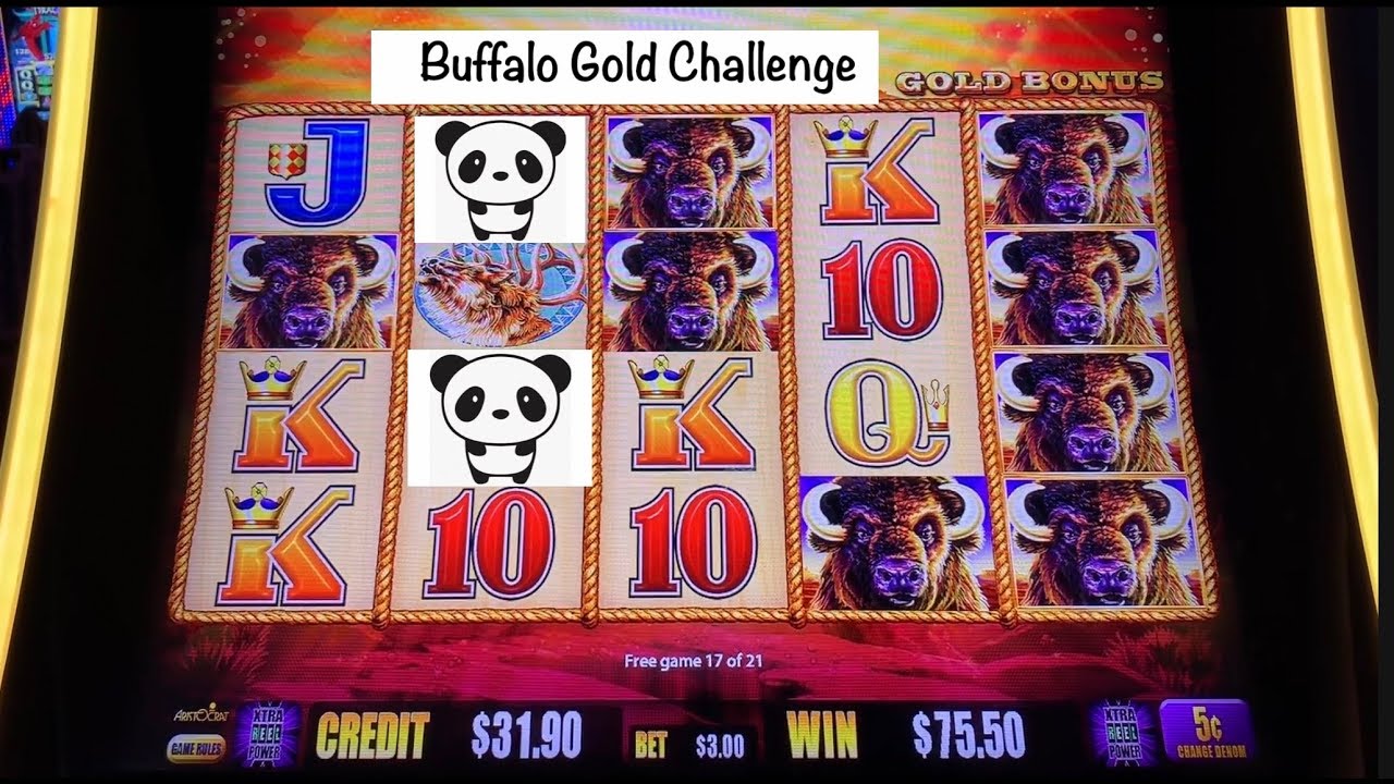It&rsquo;s a Buffalo Gold slot challenge! Billy D vs.PandaJock at the Cosmo!