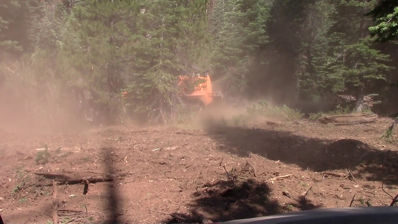 FAE Primetech PT-300 grinding red fir