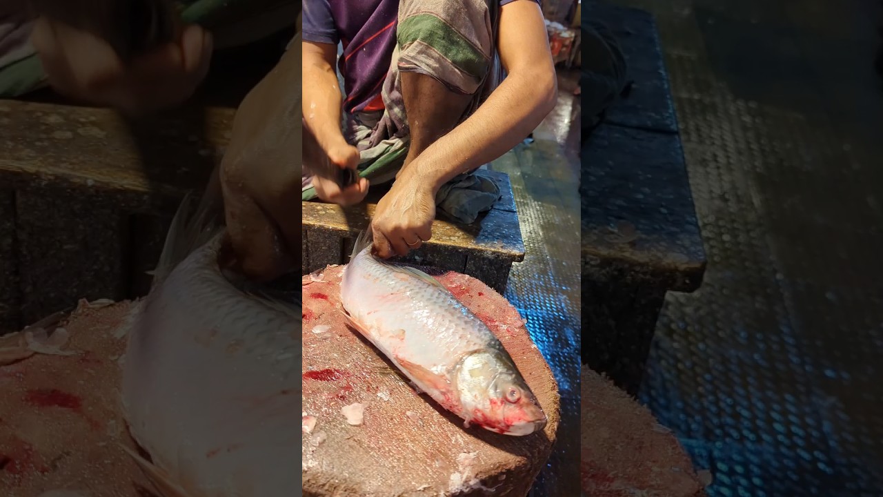 Amazing Big Mrigal Fish Cutting Skills Live In BD Fish6#Market