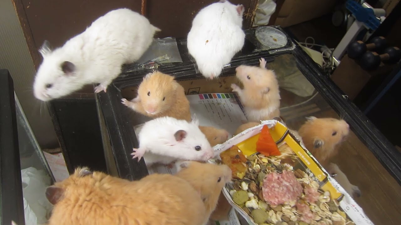 ご無沙汰しました イヤ ご無沙汰し過ぎたかもしれません