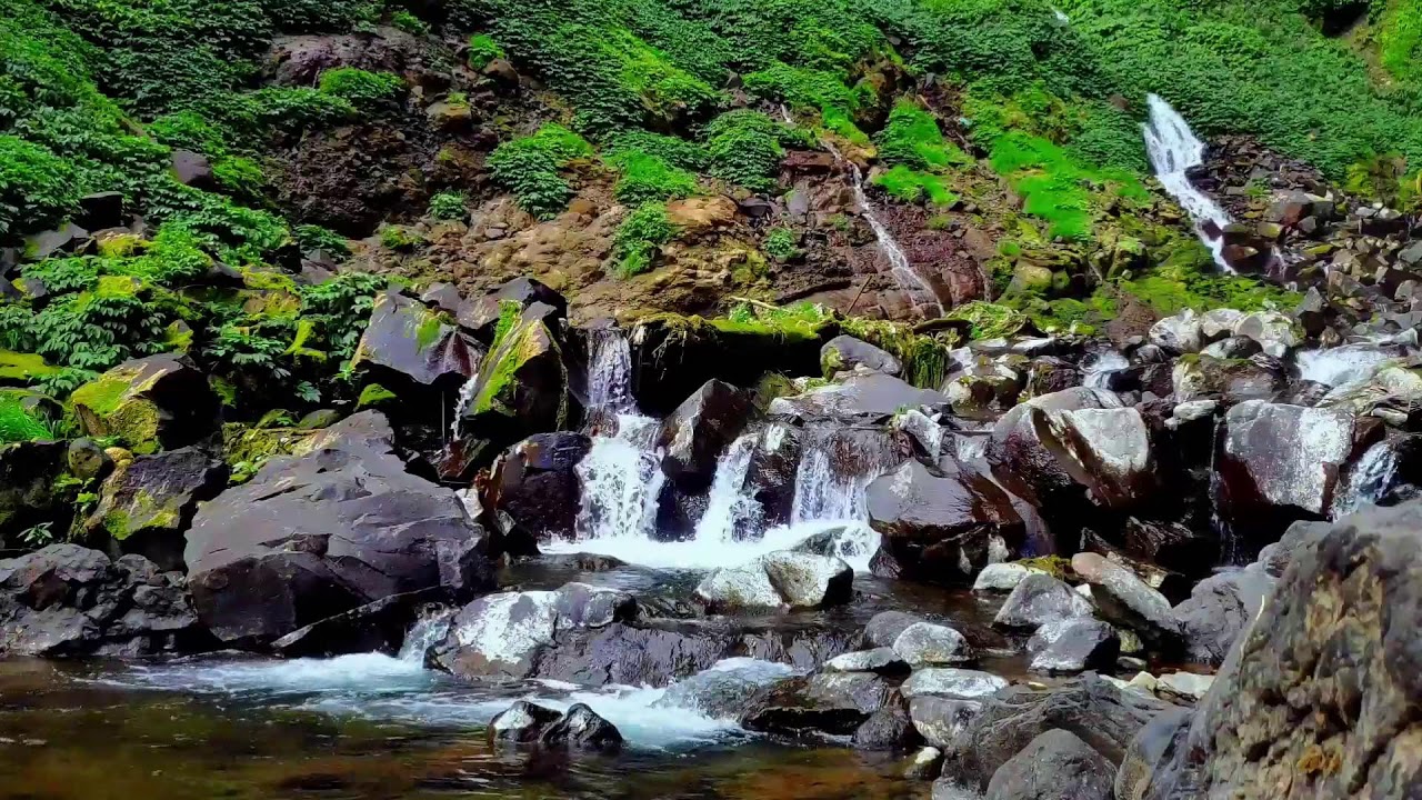 Emotional River Therapy to Heal Anxiety, Stress and Mental Disorders