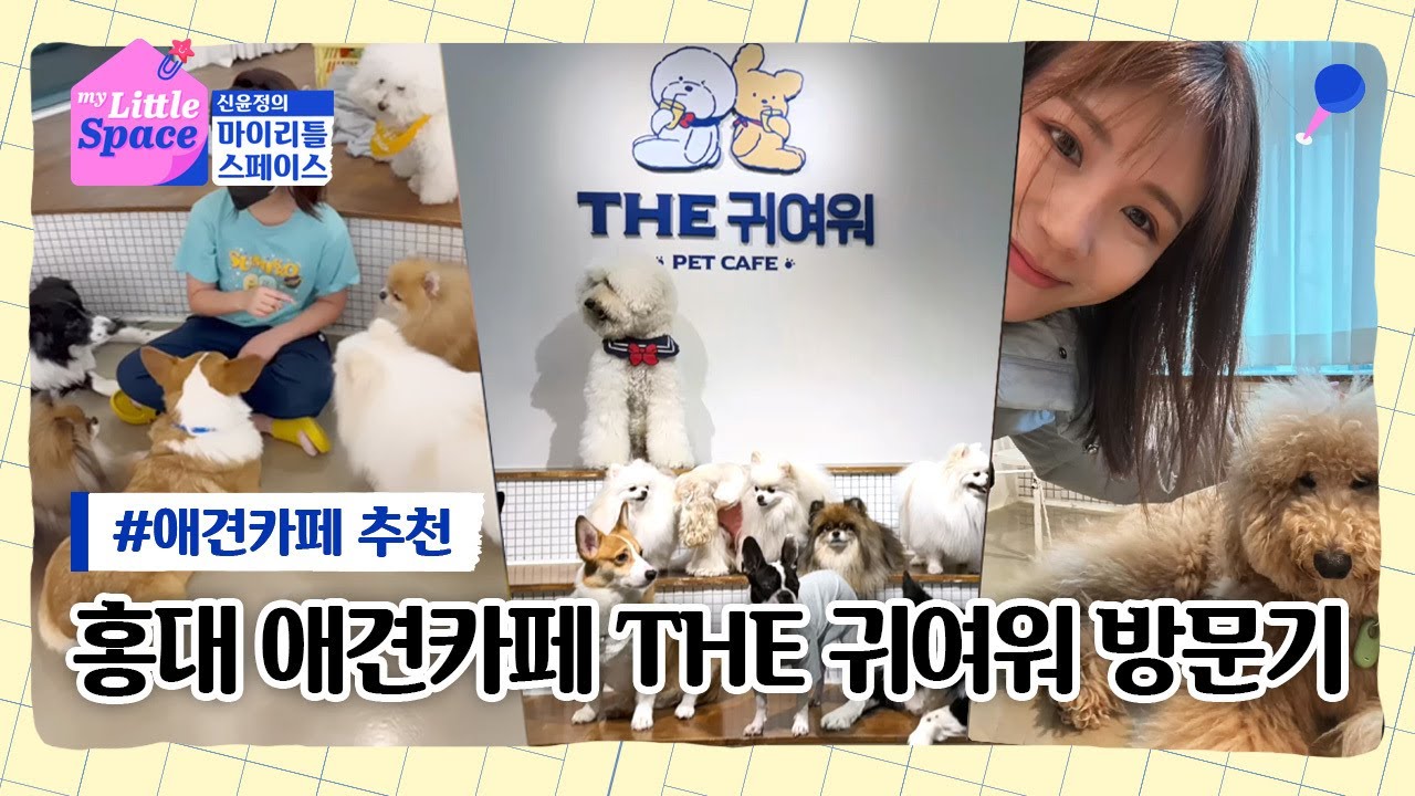 Ep 47. 아이랑 홍대 데이트💕 애견카페 THE귀여워ㅣ강아지🐶 고양이😺ㅣ반려동물카페