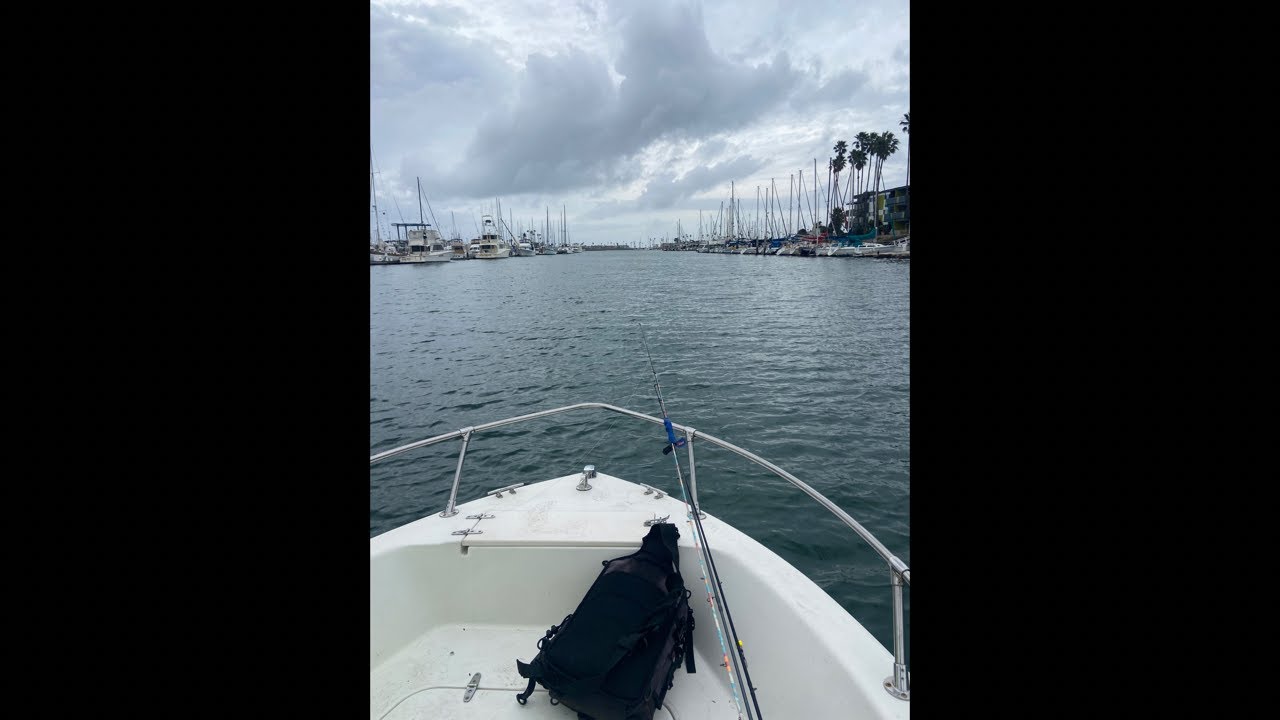 Fishing before it rains