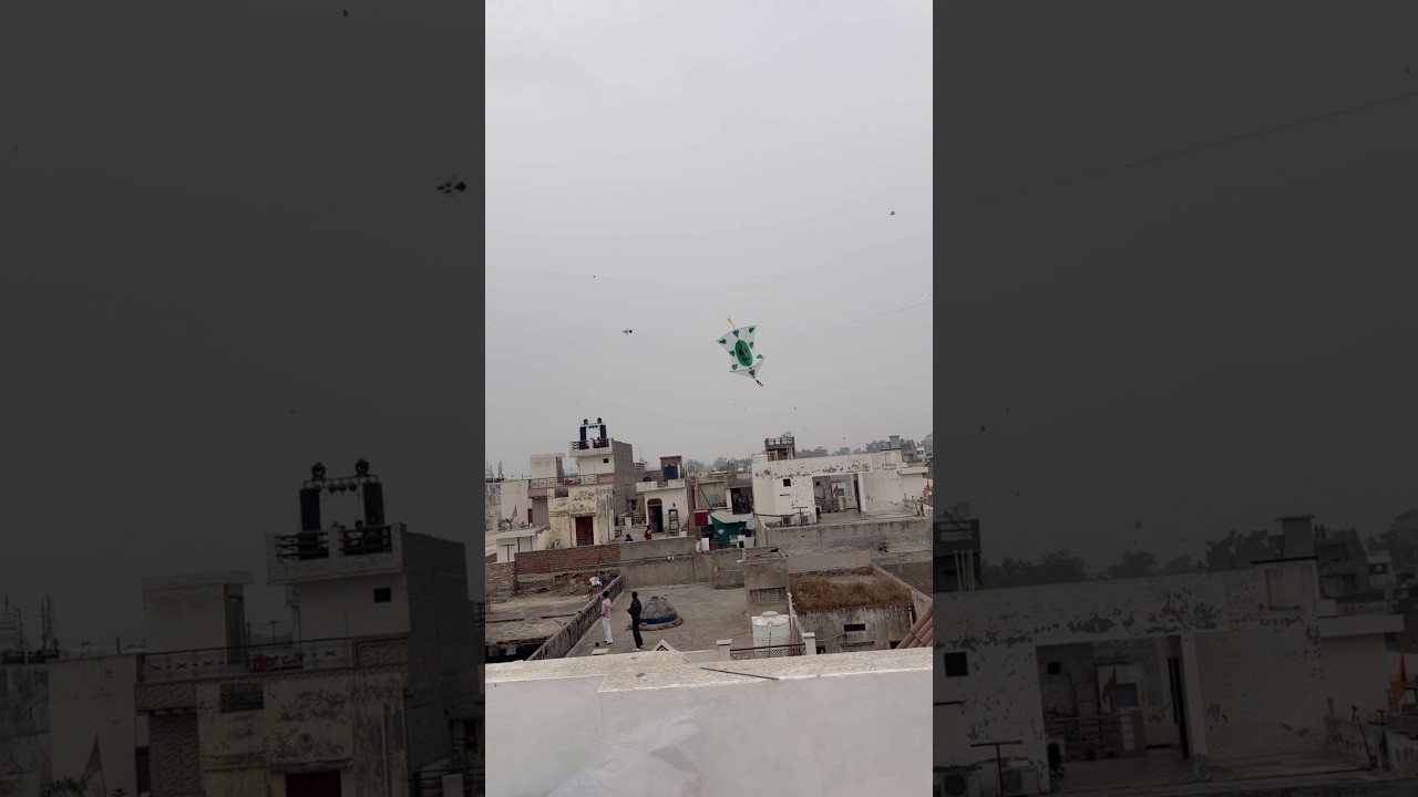 Pipa Kite basant 2026 Ferozepur #shorts -#ferozepur #sukhpalvlogs #kites #kite