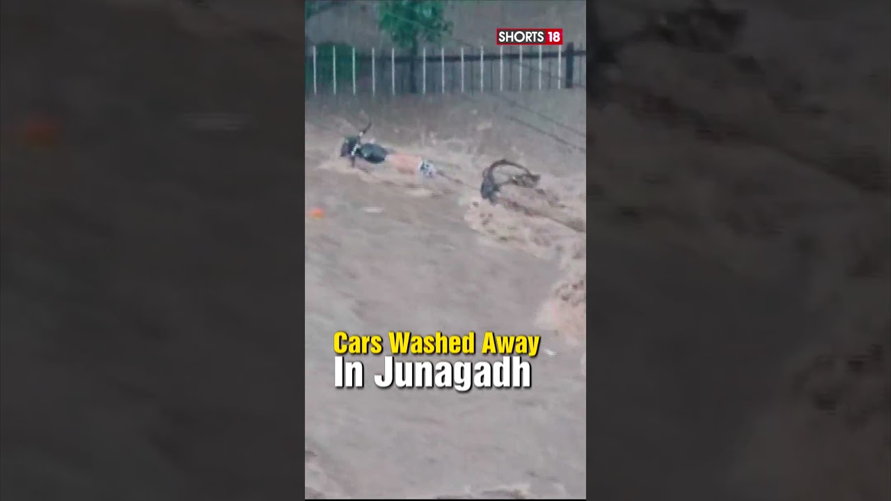 Gujarat Rains | Junagadh Flooded Amid Heavy Rainfall | Cars Washed Away In Flood Waters | #shorts