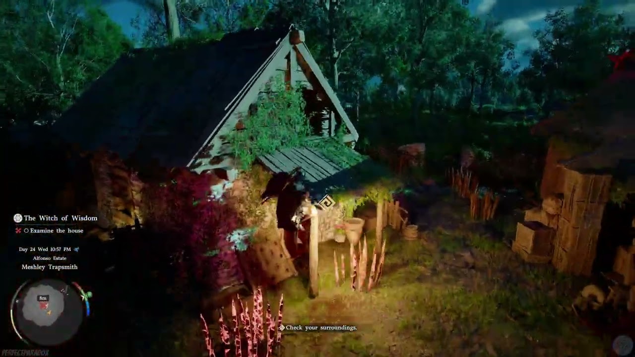 Examine The House - The Witch of Wisdom | Crimson Desert