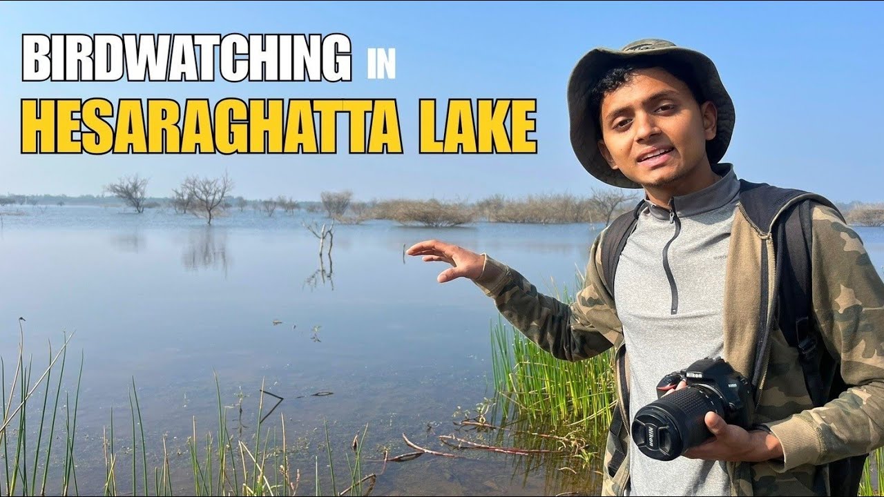 Birdwatching in HESARAGHATTA LAKE | Winter Migratory Birds in BENGALURU