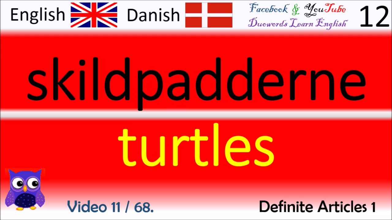 11 Definite Articles 1 Dansk - Engelsk Ord / Danish - English Words