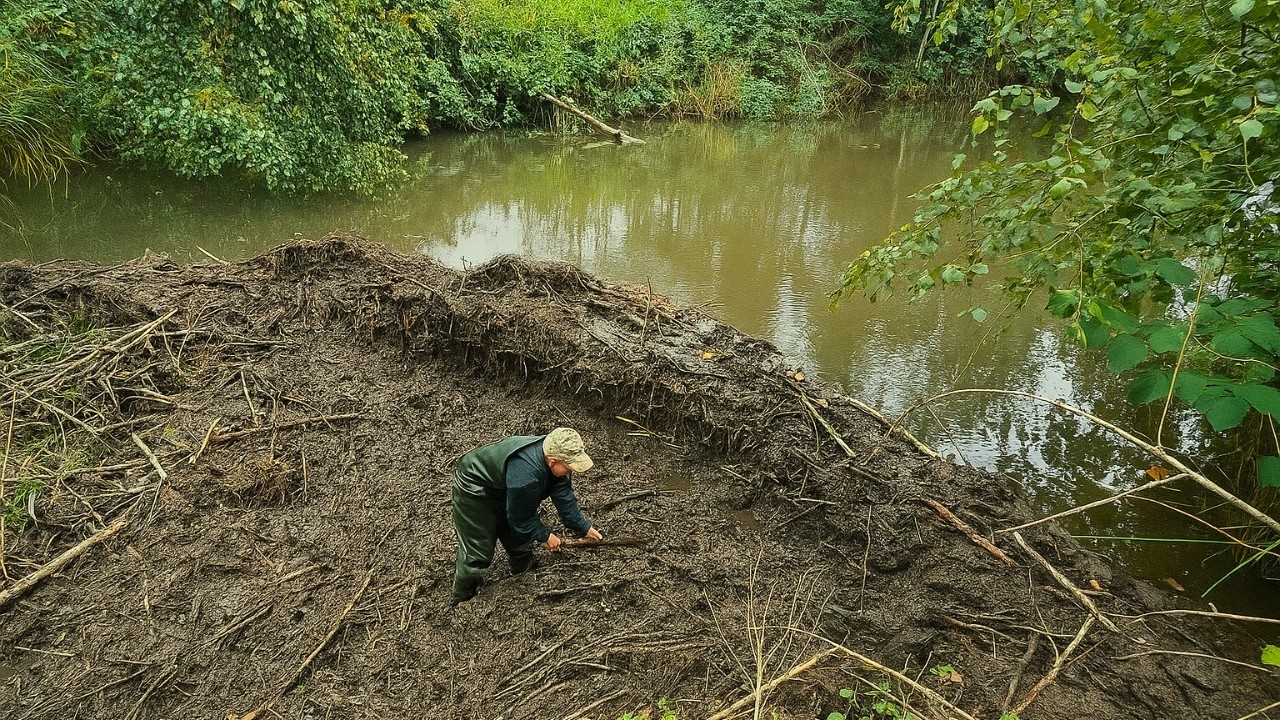 Beaver Dam Collapse – Powerful Water Surge Down the Canal!
