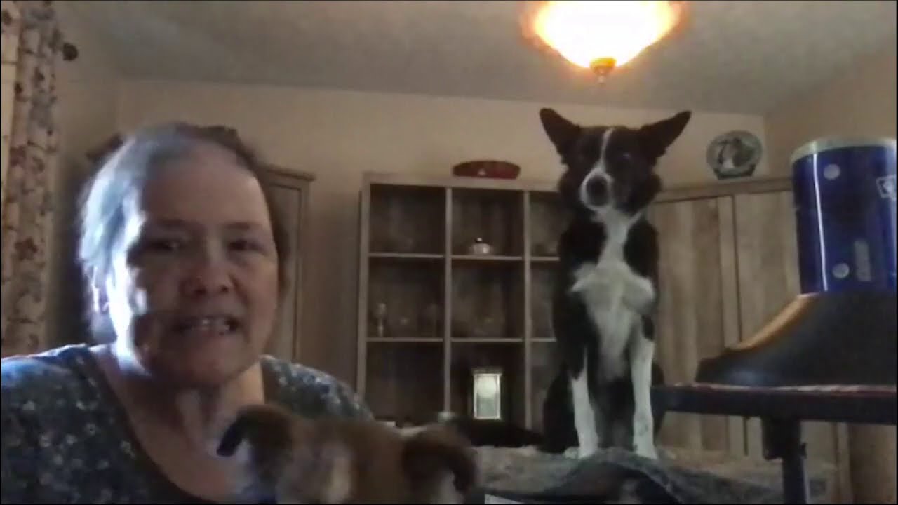 Cooperative Care, Training for Grooming and Vet Care, Deb Jones, Ph.D
