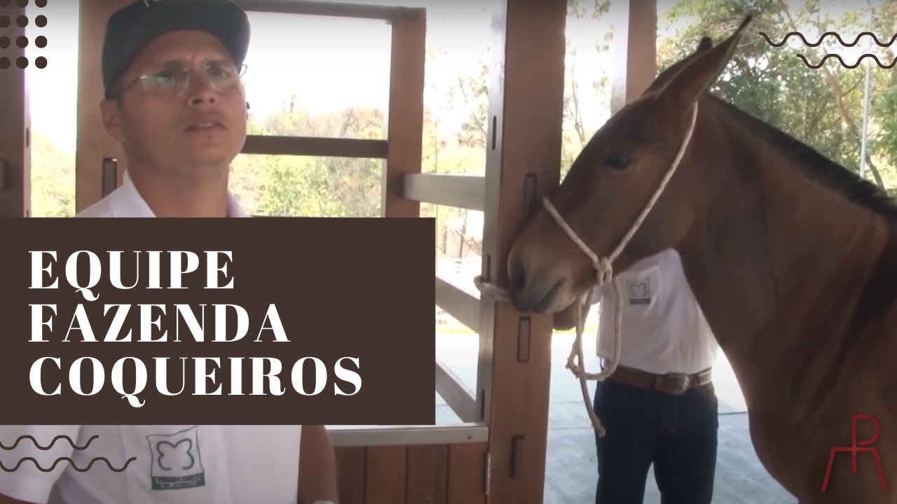 Trabalho da Equipe da Fazenda Coqueiros