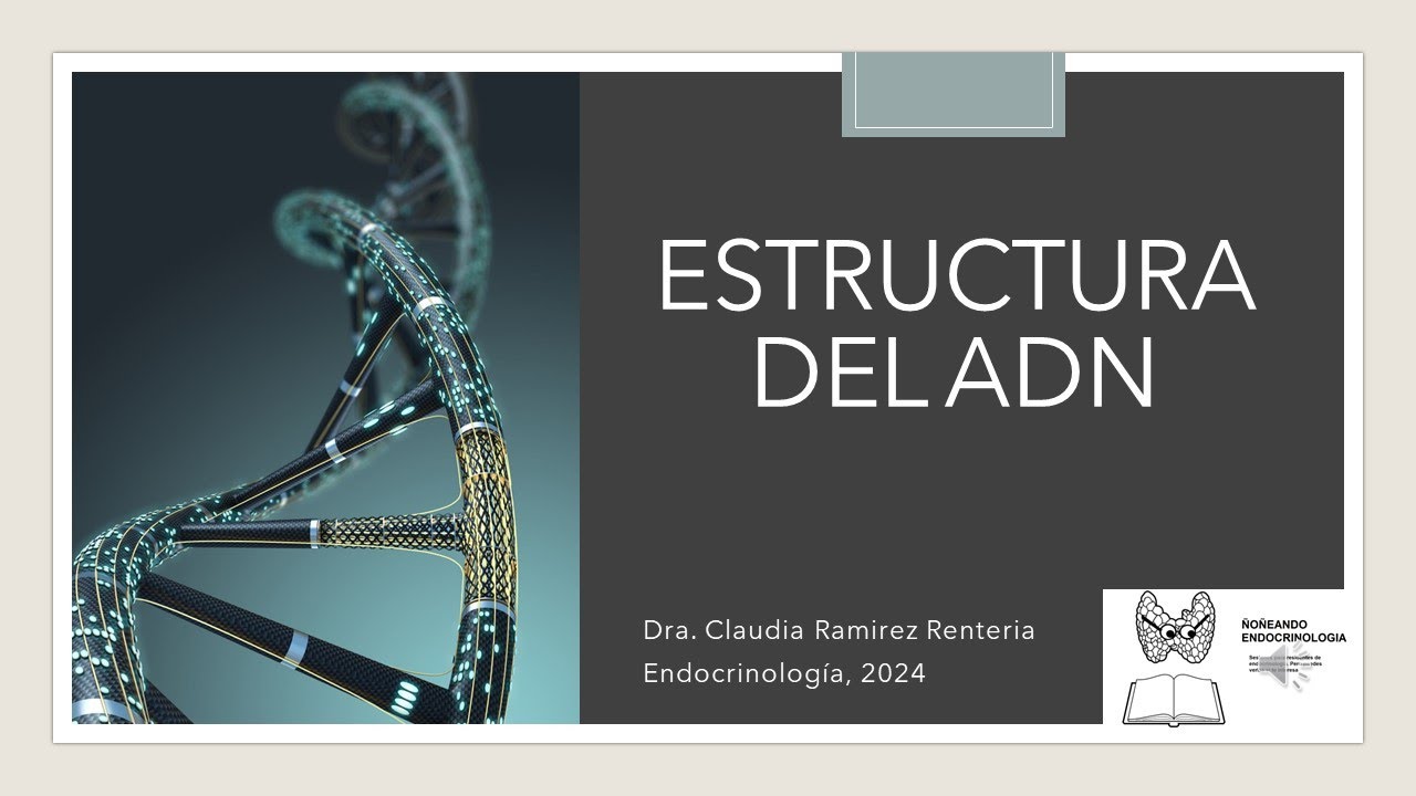 Estructura del ADN 2024