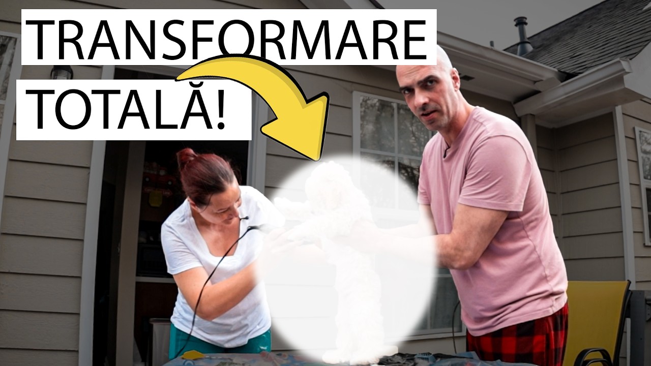 Prima tunsoare a câinelui nostru! Reacția lui ne-a surprins 😱🐾