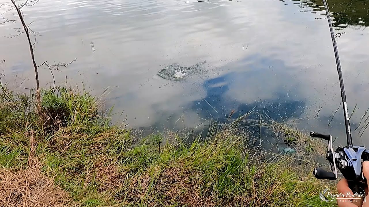 MUITA SAICANGA em NATIVIDADE DA SERRA