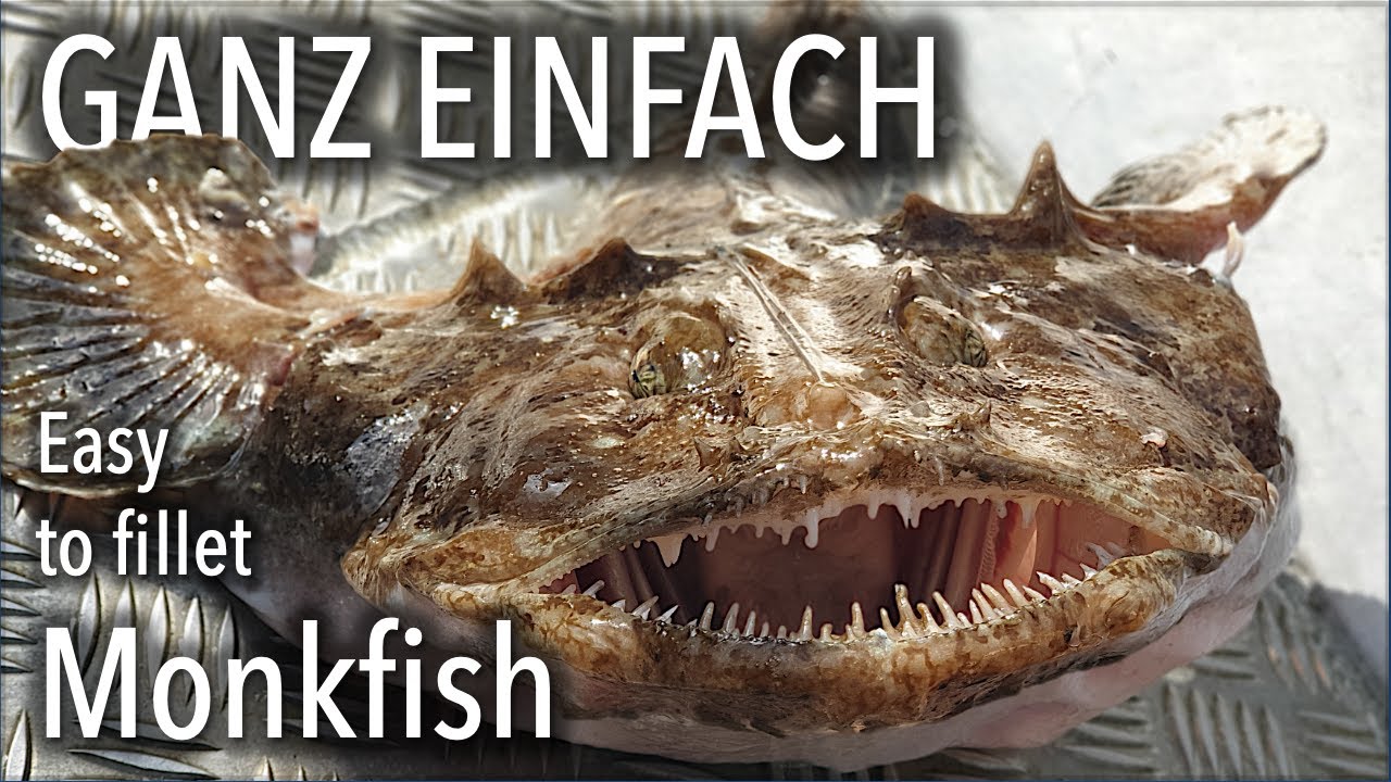Seeteufel filetieren - Enth&auml;uten, Filets ausl&ouml;sen, Medaillons & Steaks schneiden - Monkfish Tutorial