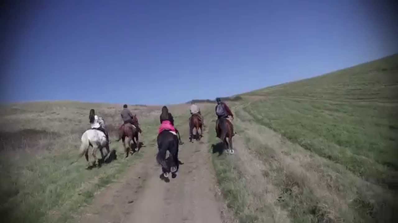 Cavalli nel Sorbo, passeggiate a cavallo, Cesano di Roma