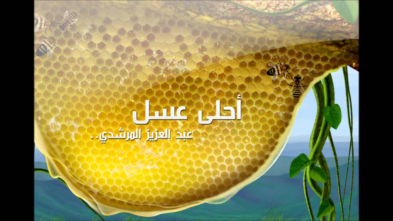 نشيد أحلى عسل \ عبد العزيز المرشدي