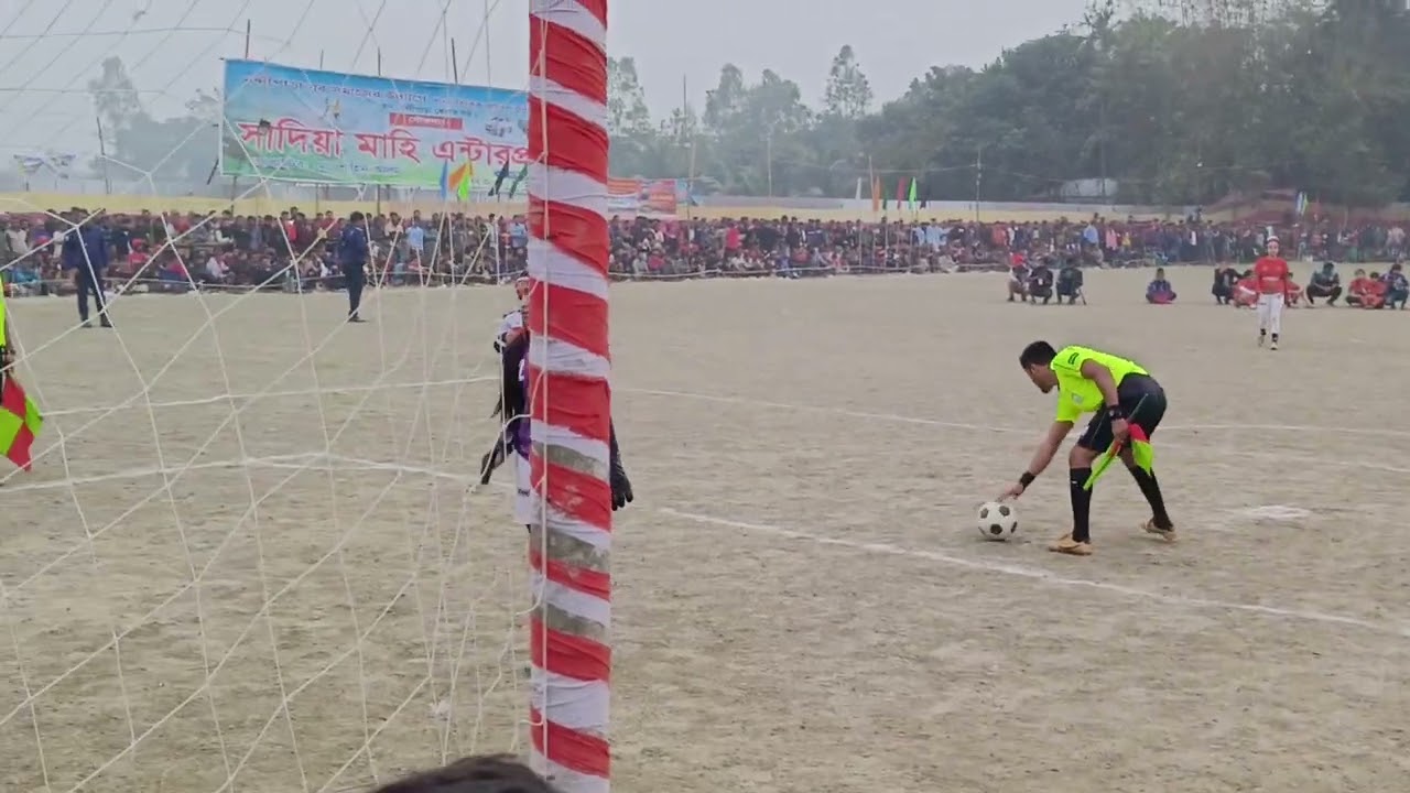 ভাইরাল সপ্নার প্ল্যান্টি শট  কে কয়টা আটকালো