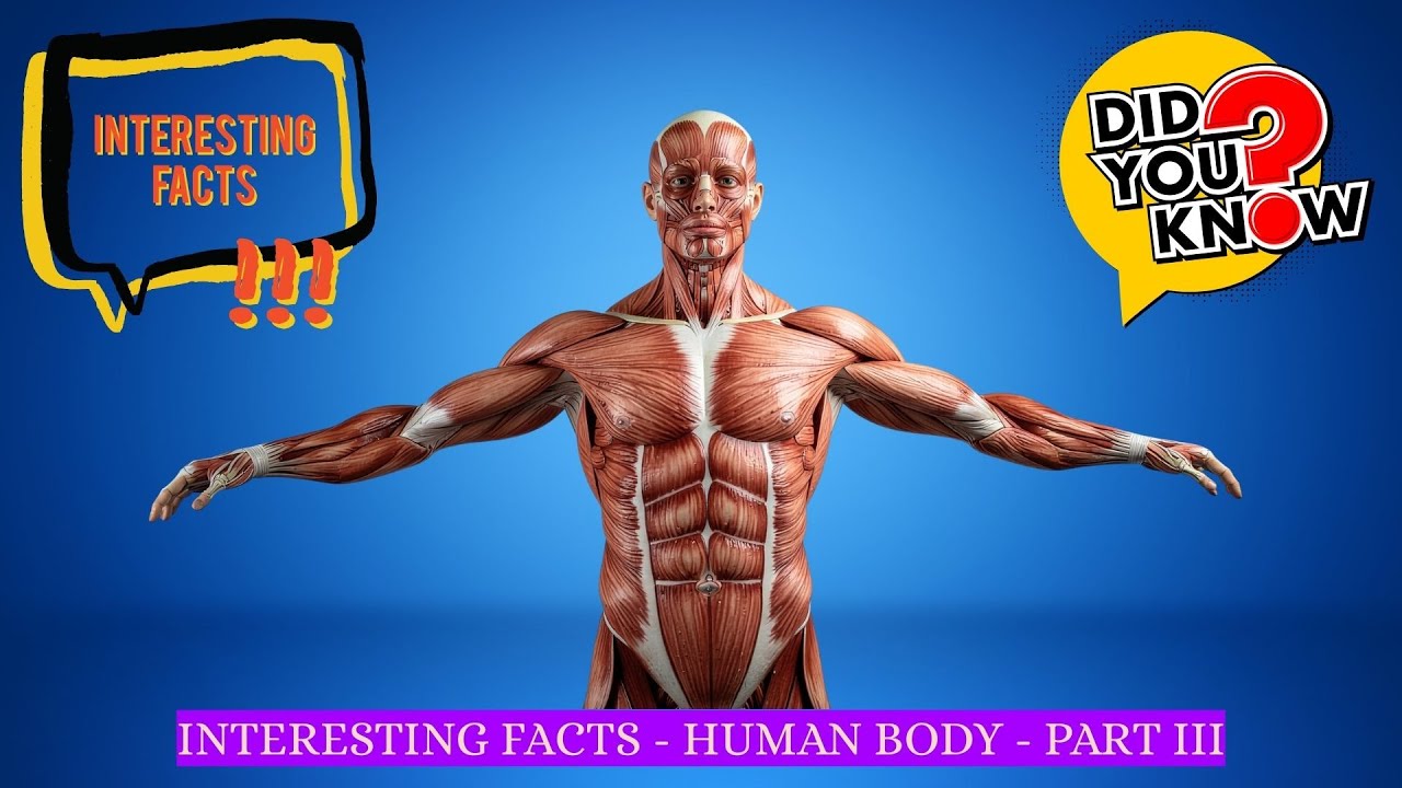 Interesting Facts - Human Body -  PART III | #bagga | #baggacreativity | #human | #humanbodyfacts |