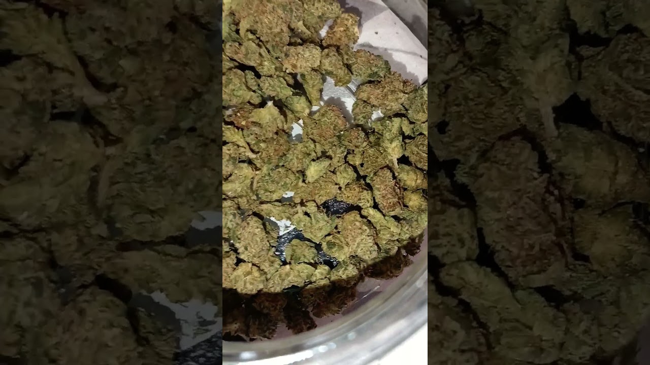 Cold Creek Kush by 4C Labs MC #medical #uk #kush #alternaleaf