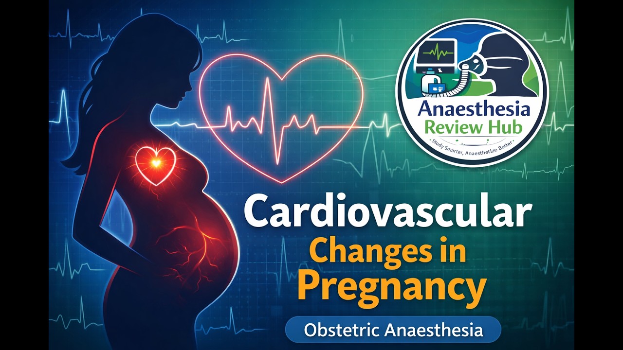 01. Cardiovascular Changes in Pregnancy | Obstetric Anaesthesia | Anaesthesia Review Hub