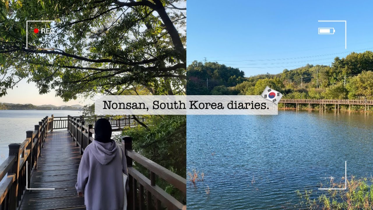 Nonsan, Korea diaries: cooking, tapjeong lake and Sports day for International students 🏅