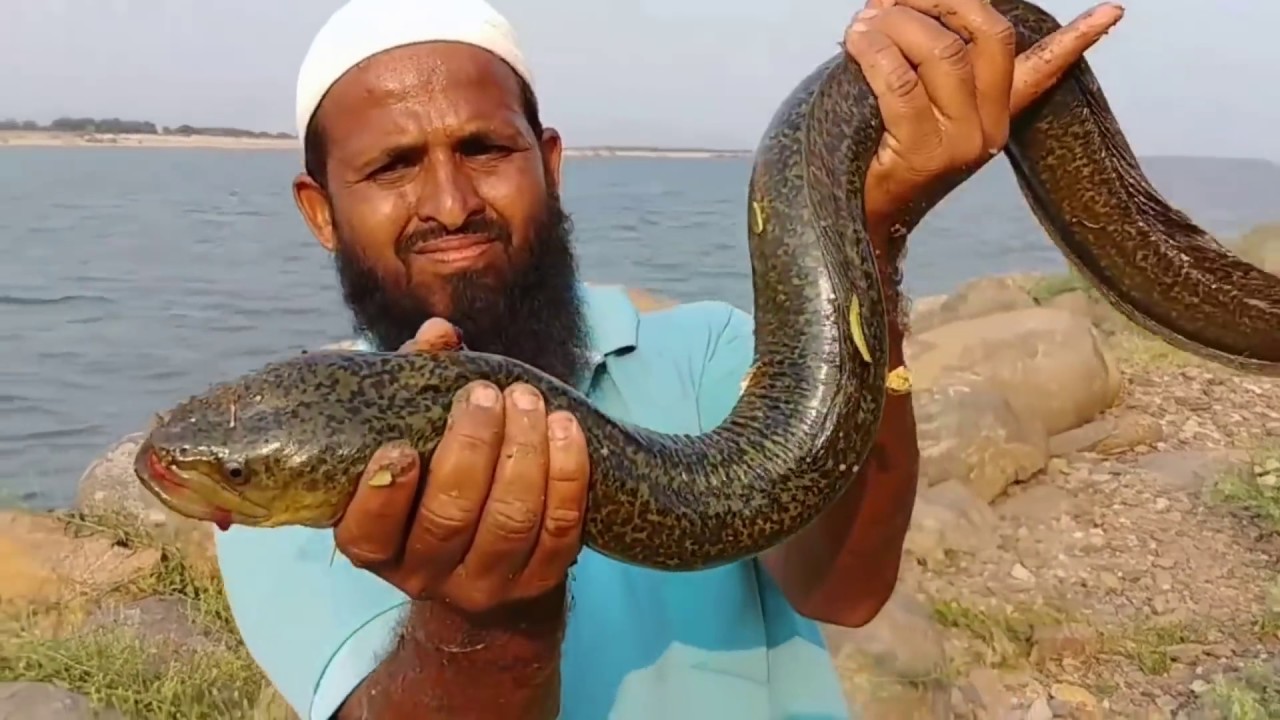 ABDUL SAMI FISHING ||1YEAR COMPLETED All subscribers and viewers Thanks🤝 for watching our videos