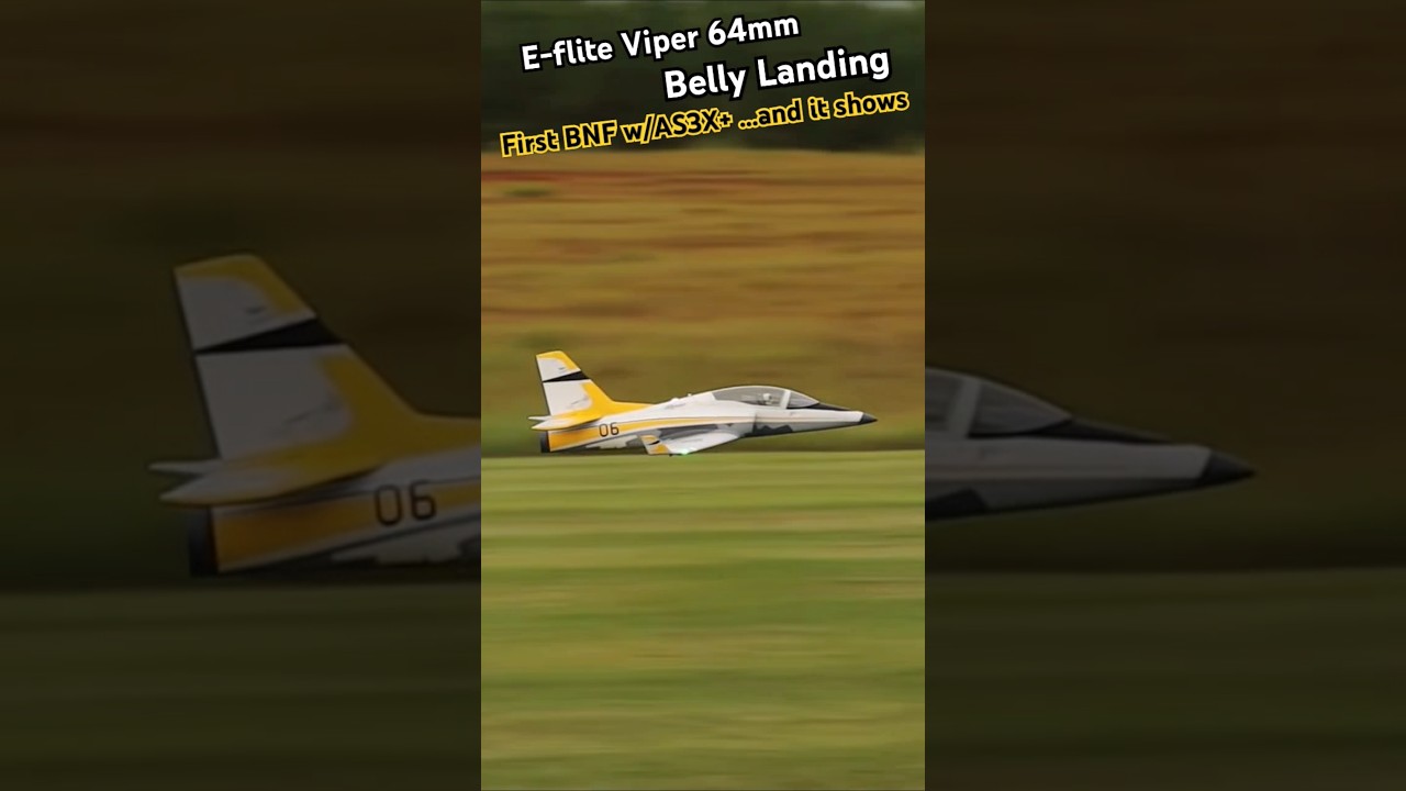 NEW! E-Flite Viper 64mm w/AS3X+ Belly Landing! 