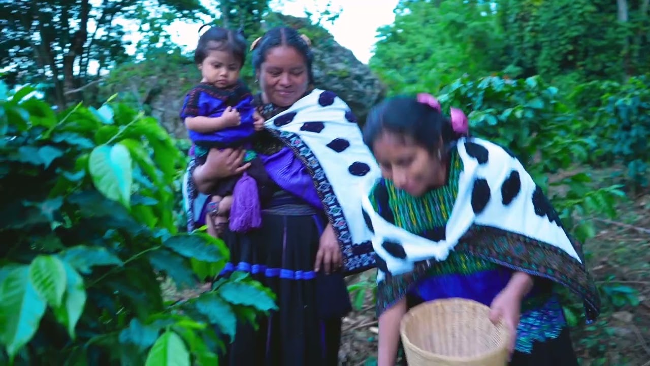 Mi Cultura (Video Oficial) - Grupo Soberano De Tierra Mixteca