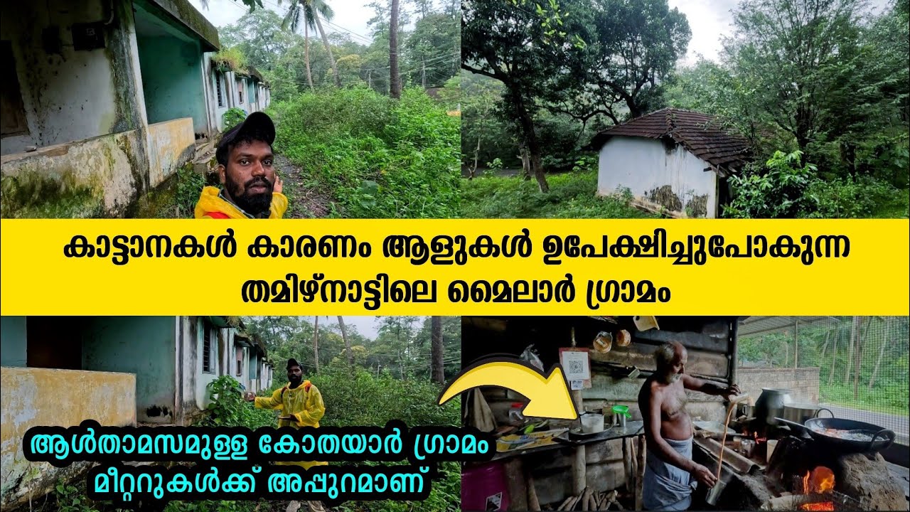 കാട്ടാനപ്പേടിയിൽ ആളുകൾ ഉപേക്ഷിച്ചു പോകുന്ന തമിഴ്നാട്ടിലെ മൈലാർഗ്രാമവും| ജനവാസമുള്ള കോതയാർ ഗ്രാമവും 