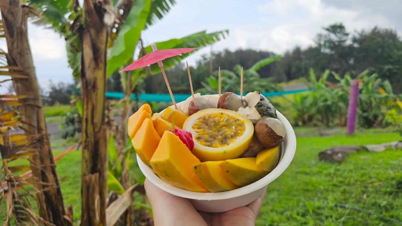 🚗 Driving From Waimea to Waipio Valley