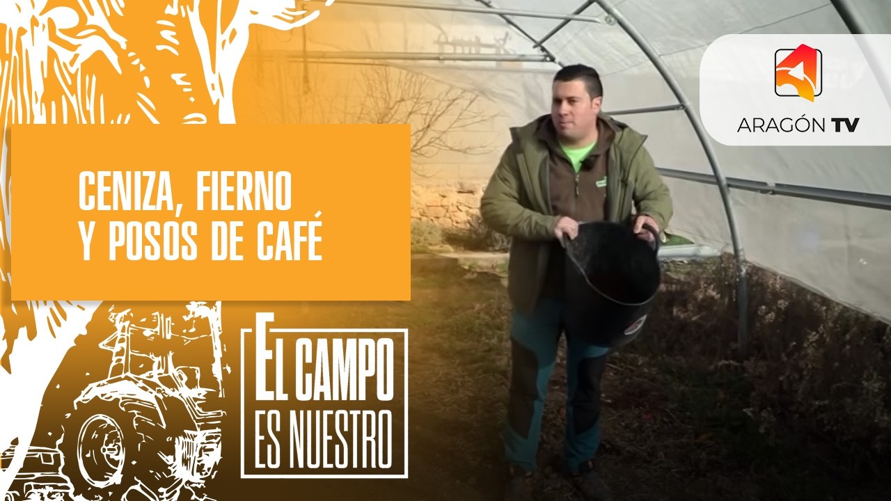 Ceniza, fiemo y posos de café